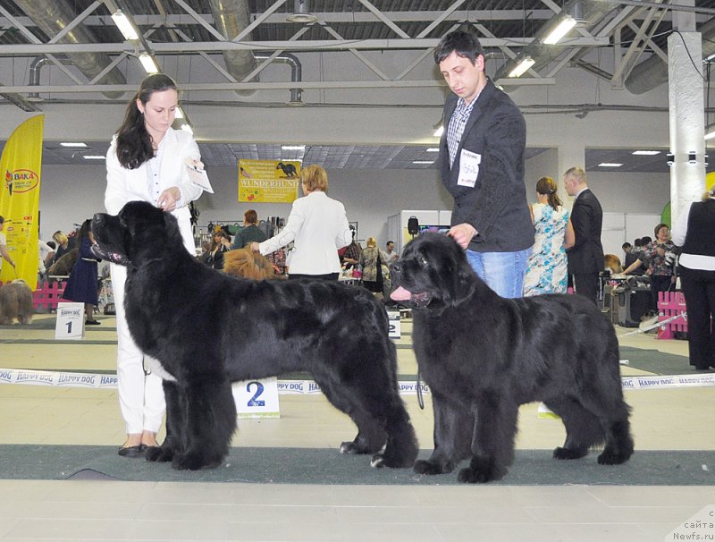 Фотография № 202738