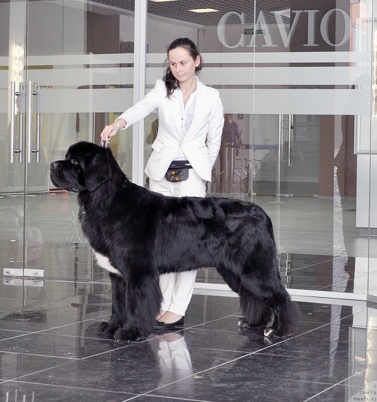 Фотография № 202741