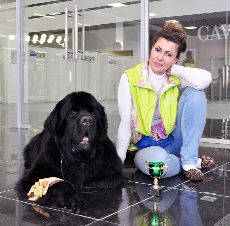 Фотография № 202742