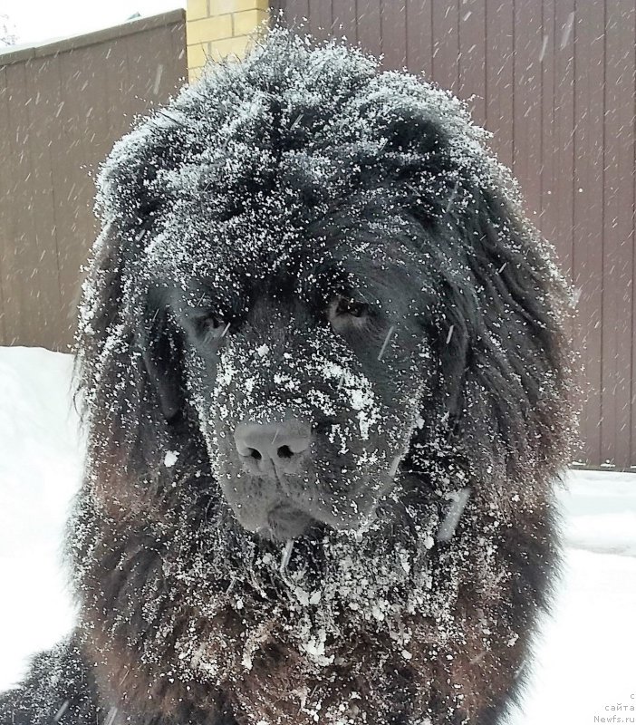 Фотография № 202755