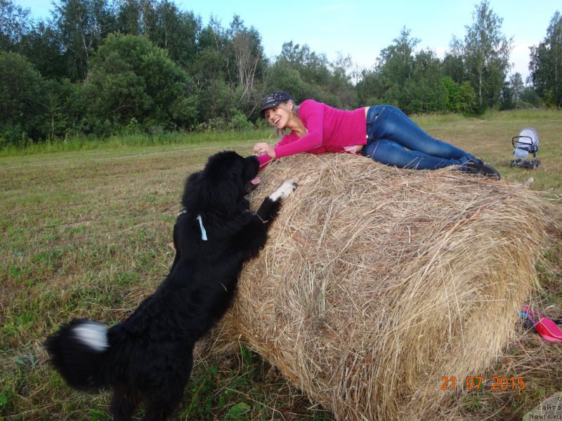 Фотография № 202769