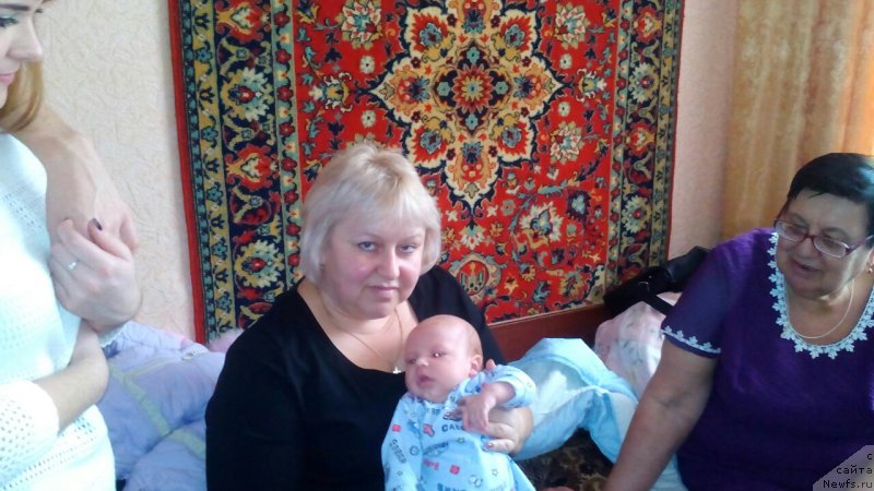 Фотография № 202774