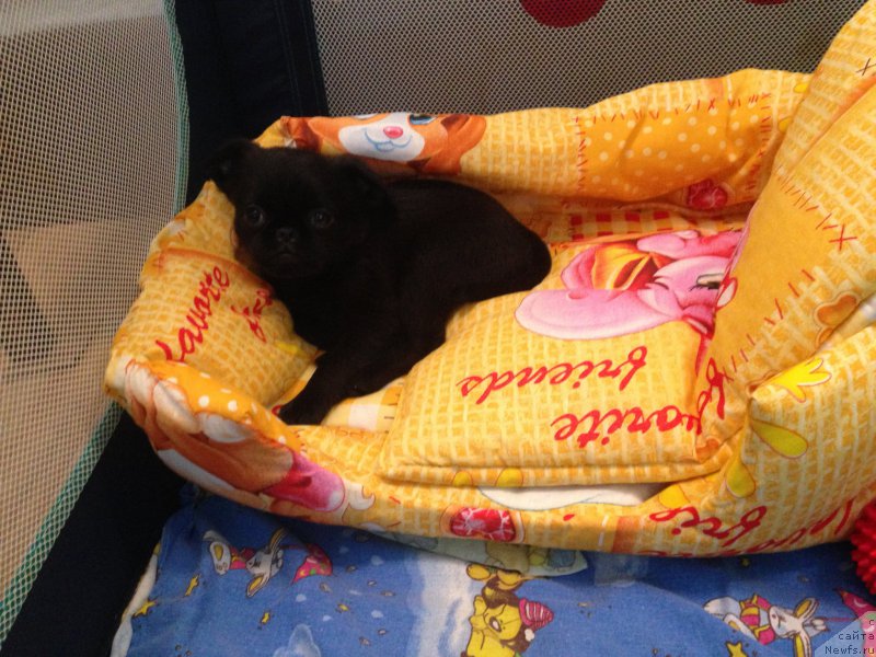 Фото: Татьяна Оленина