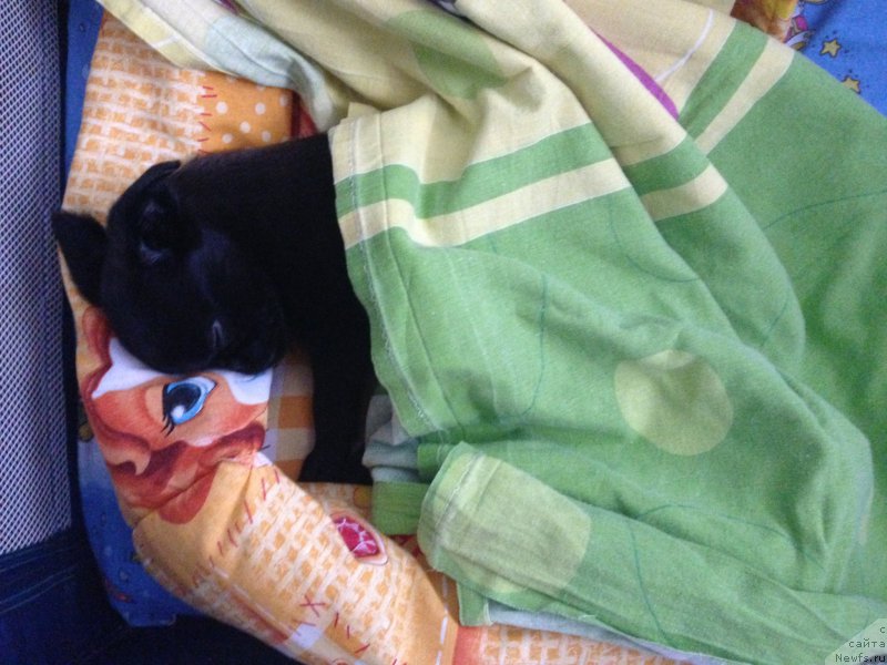 Фото: Татьяна Оленина