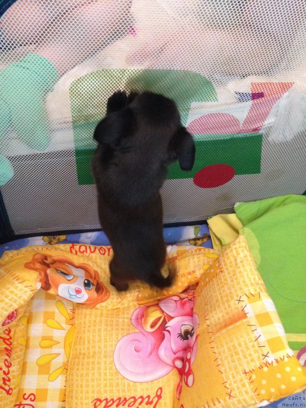 Фото: Татьяна Оленина