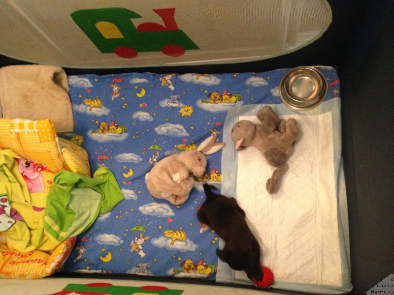 Фото: Татьяна Оленина