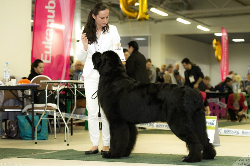 Фотография № 202786