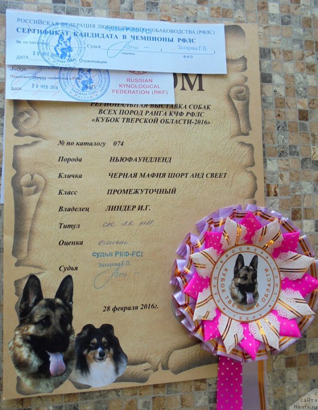 Фотография № 202806