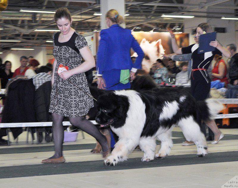 Фотография № 202836