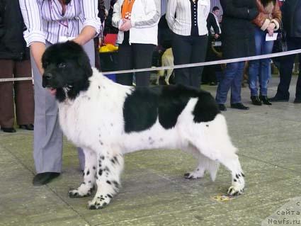 Фотография № 20284