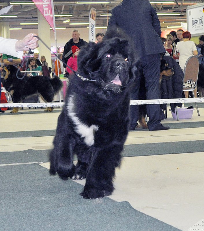 Фотография № 202841