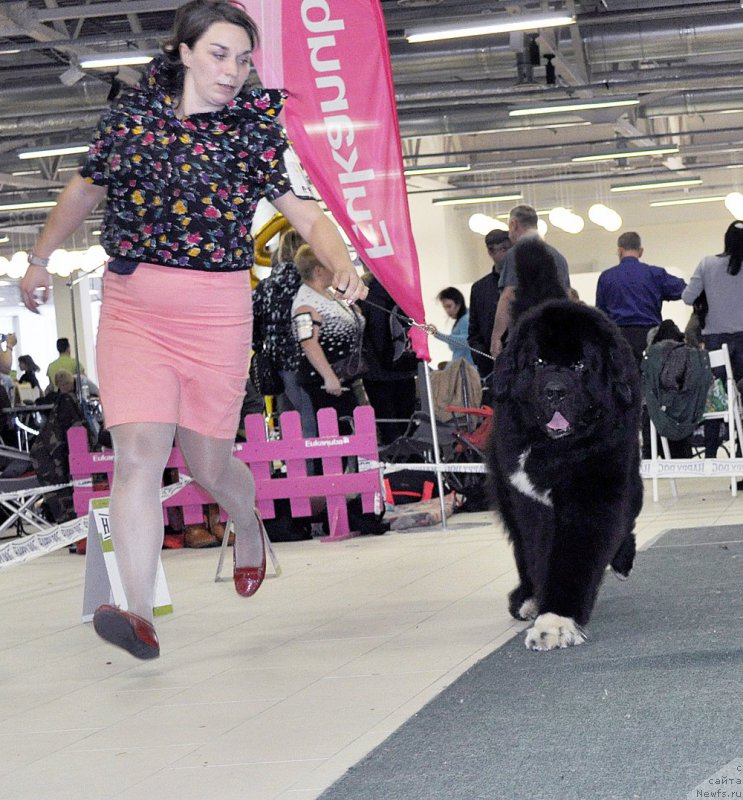 Фотография № 202849