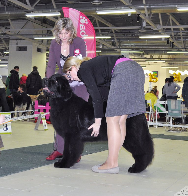 Фотография № 202854