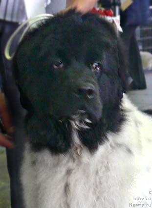 Фотография № 20286