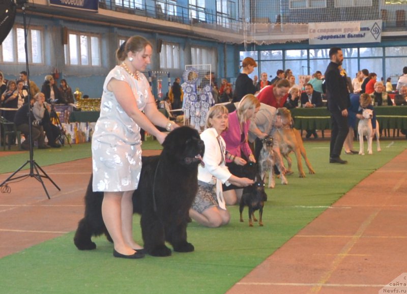 Фотография № 202872