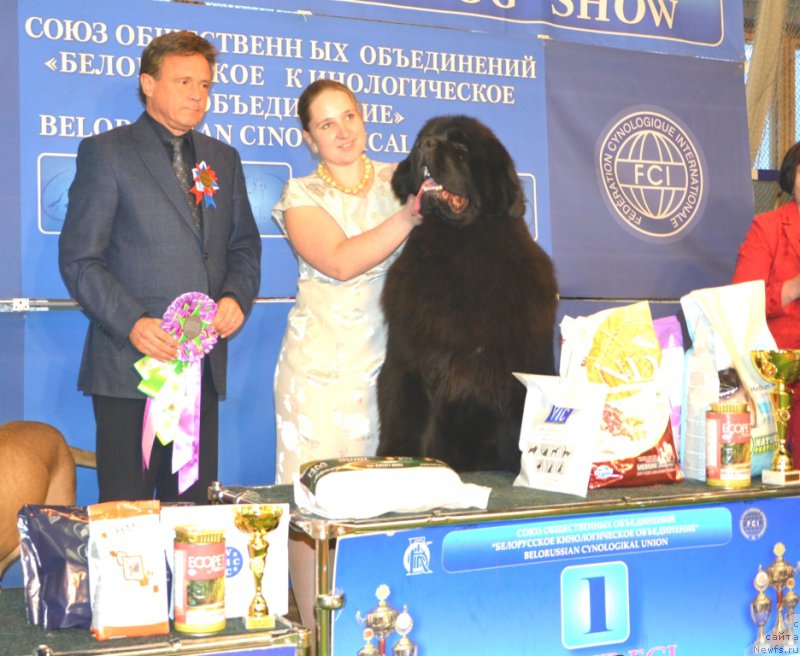 Фотография № 202876