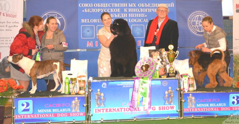 Фотография № 202877