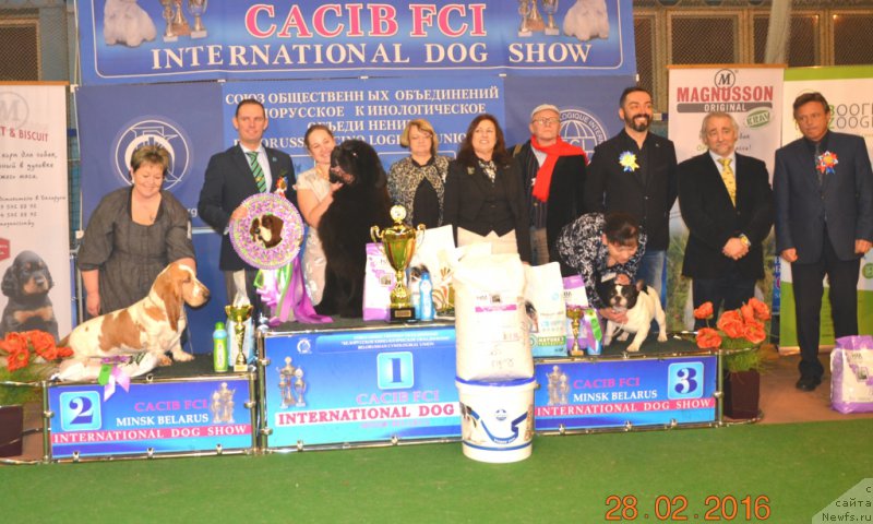 Фотография № 202878