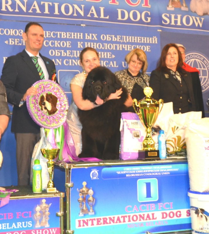 Фотография № 202879