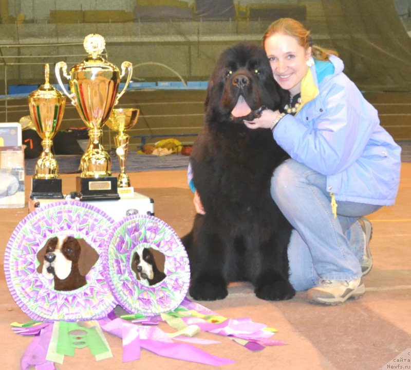 Фотография № 202880