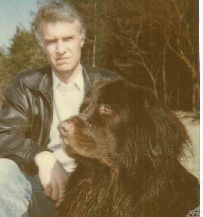 Фотография № 202890