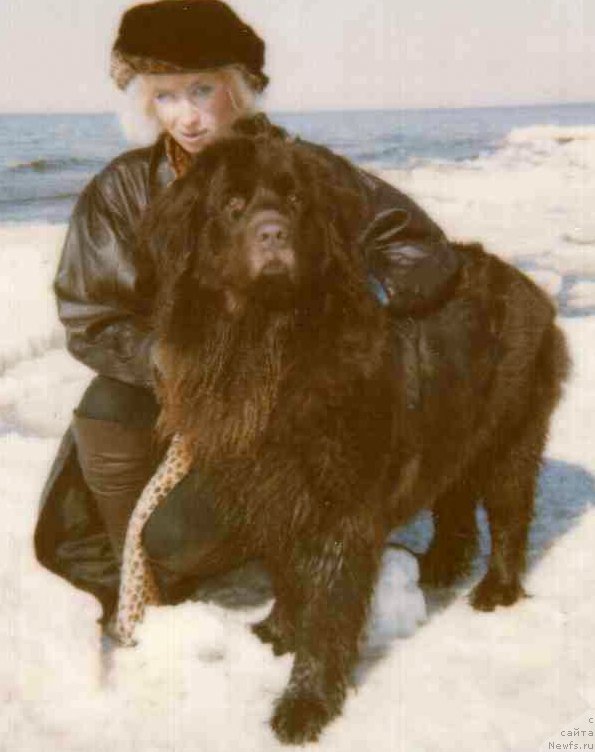 Фотография № 202891