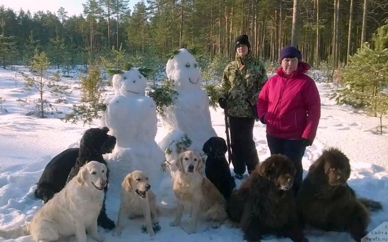 Фотография № 202896