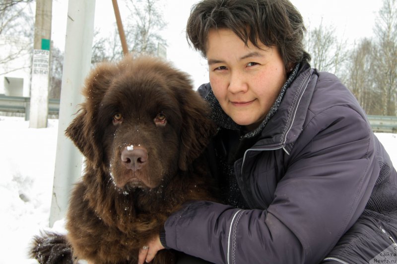 Фото: ньюфаундленд Альфа Дар Окса Виват, Дарима Ачитуева