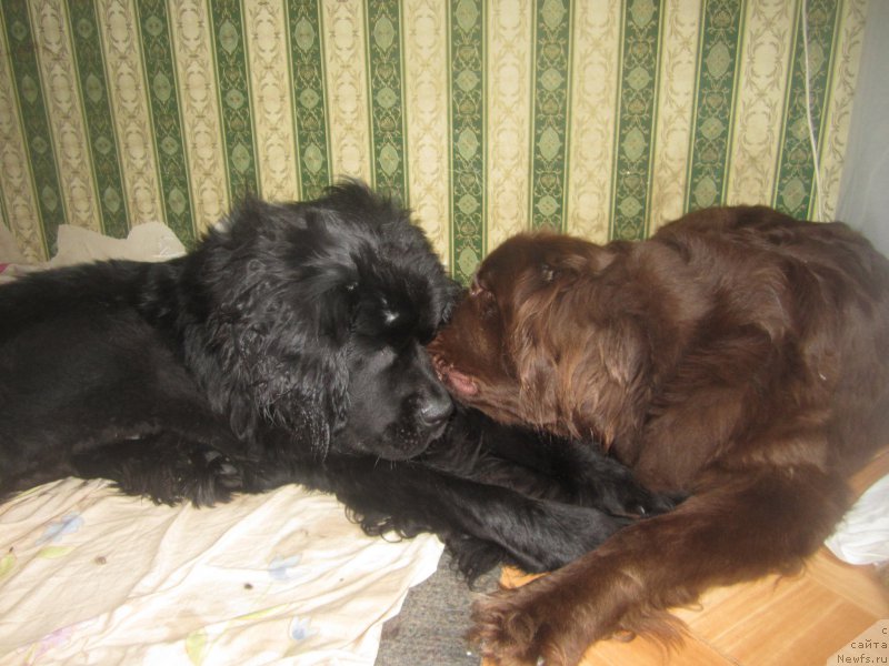 Фото: Наталья Смазчикова