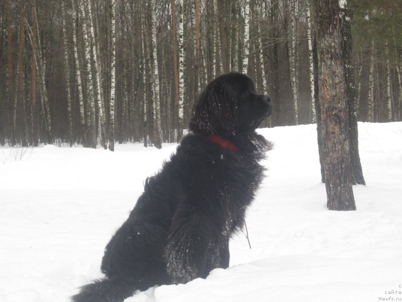 Фото: Наталья Смазчикова