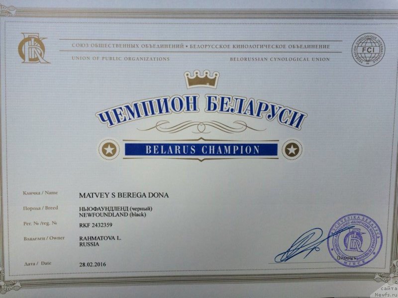 Фотография № 202938