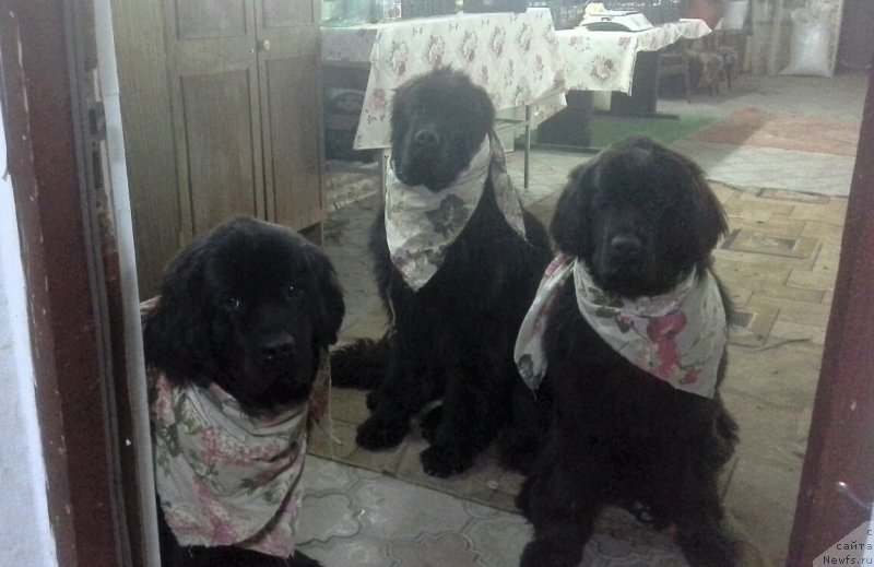 Фото: Наталья Смазчикова