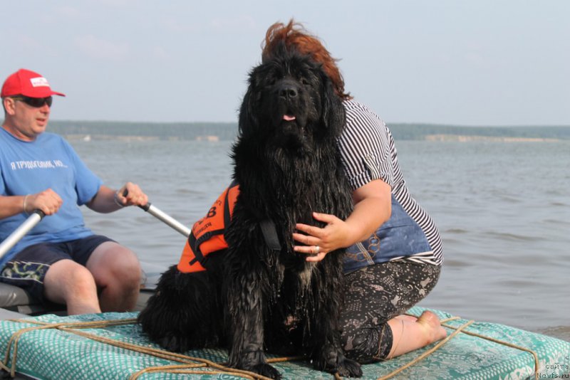 Фотография № 202985