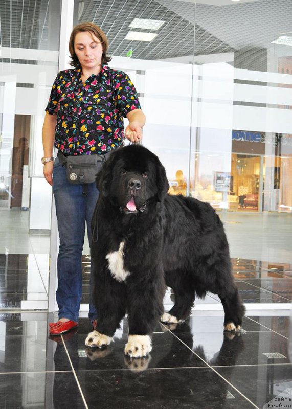 Фотография № 202988