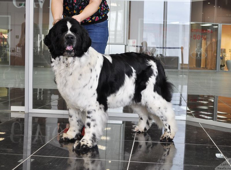 Фотография № 202995