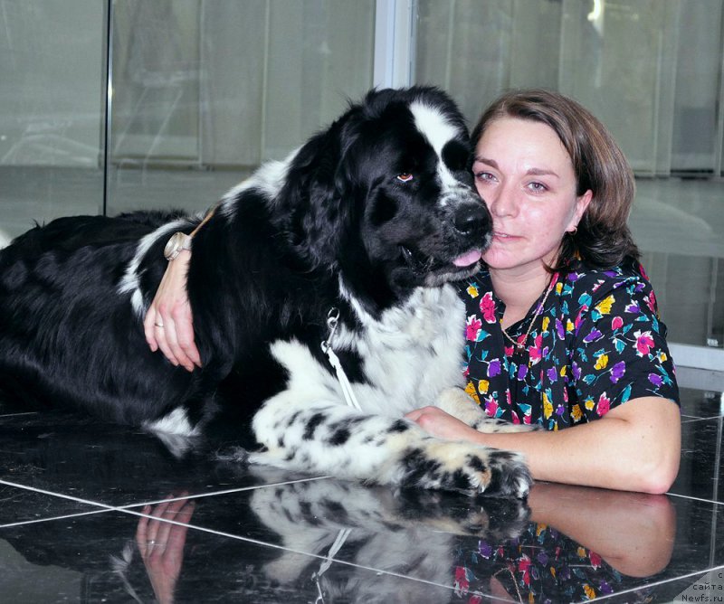 Фотография № 202997