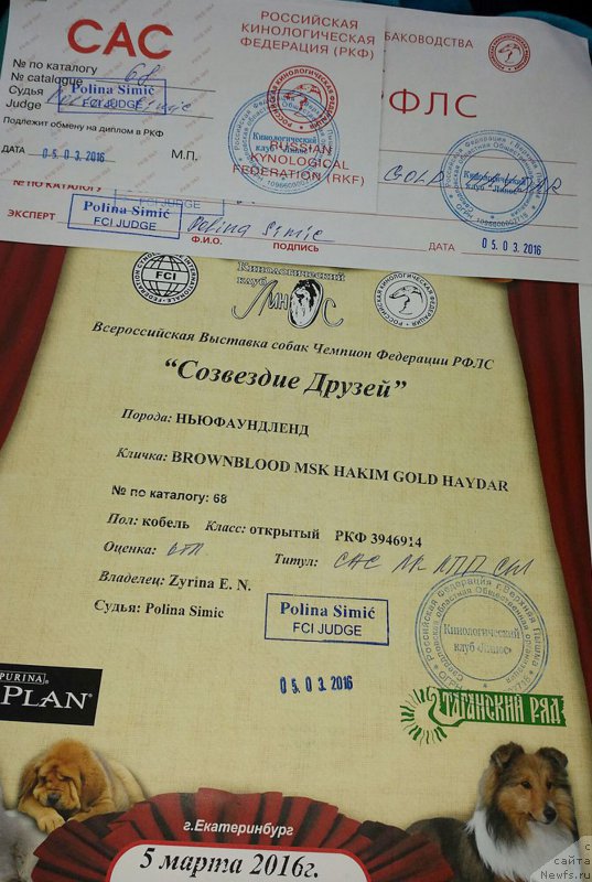 Фотография № 203025