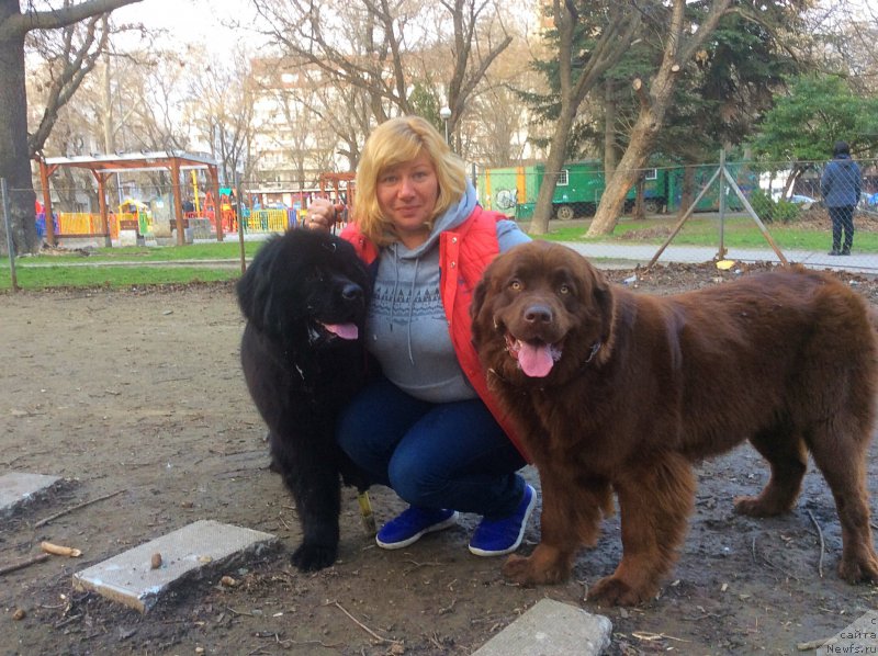 Фотография № 203028