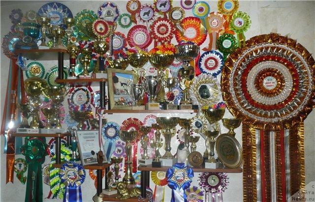 Фотография № 20303