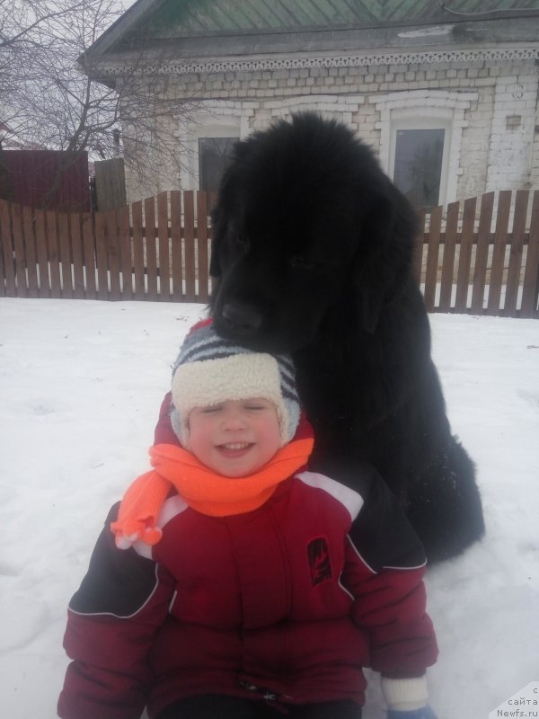 Фотография № 203074