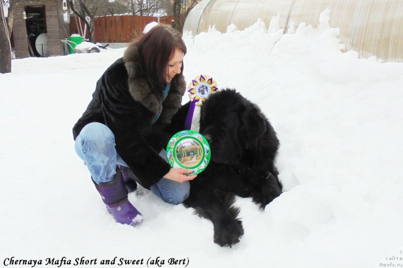 Фотография № 203076