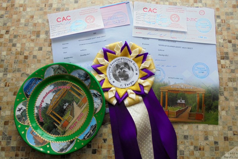 Фотография № 203077