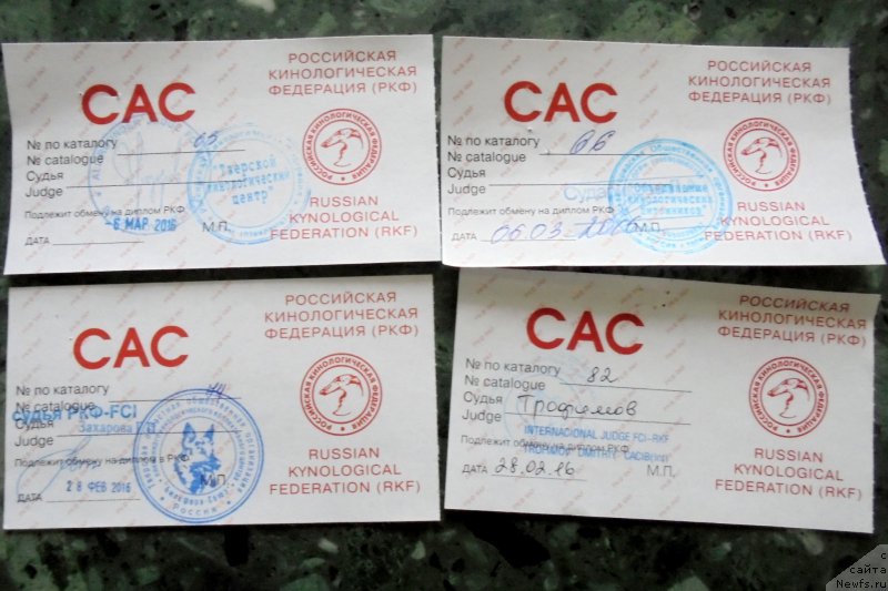 Фотография № 203078