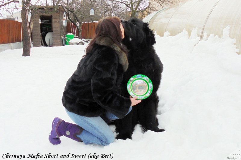 Фотография № 203081