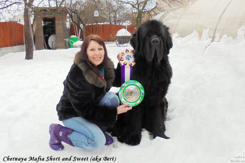 Фотография № 203082