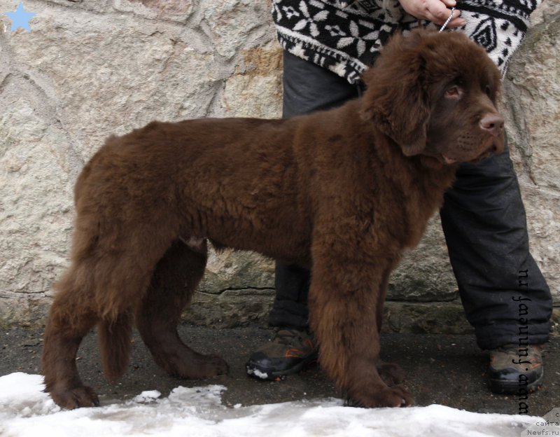 Фотография № 203085