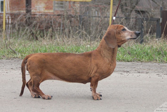 Фотография № 203094