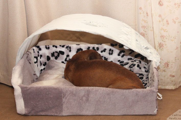 Фотография № 203096