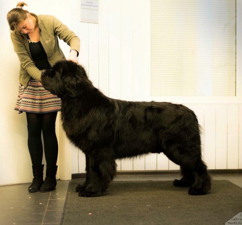 Фотография № 203101