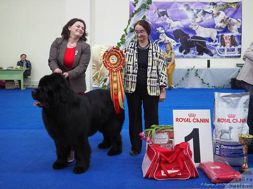 Фотография № 203111